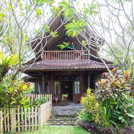 Bali Firefly Bnb-3